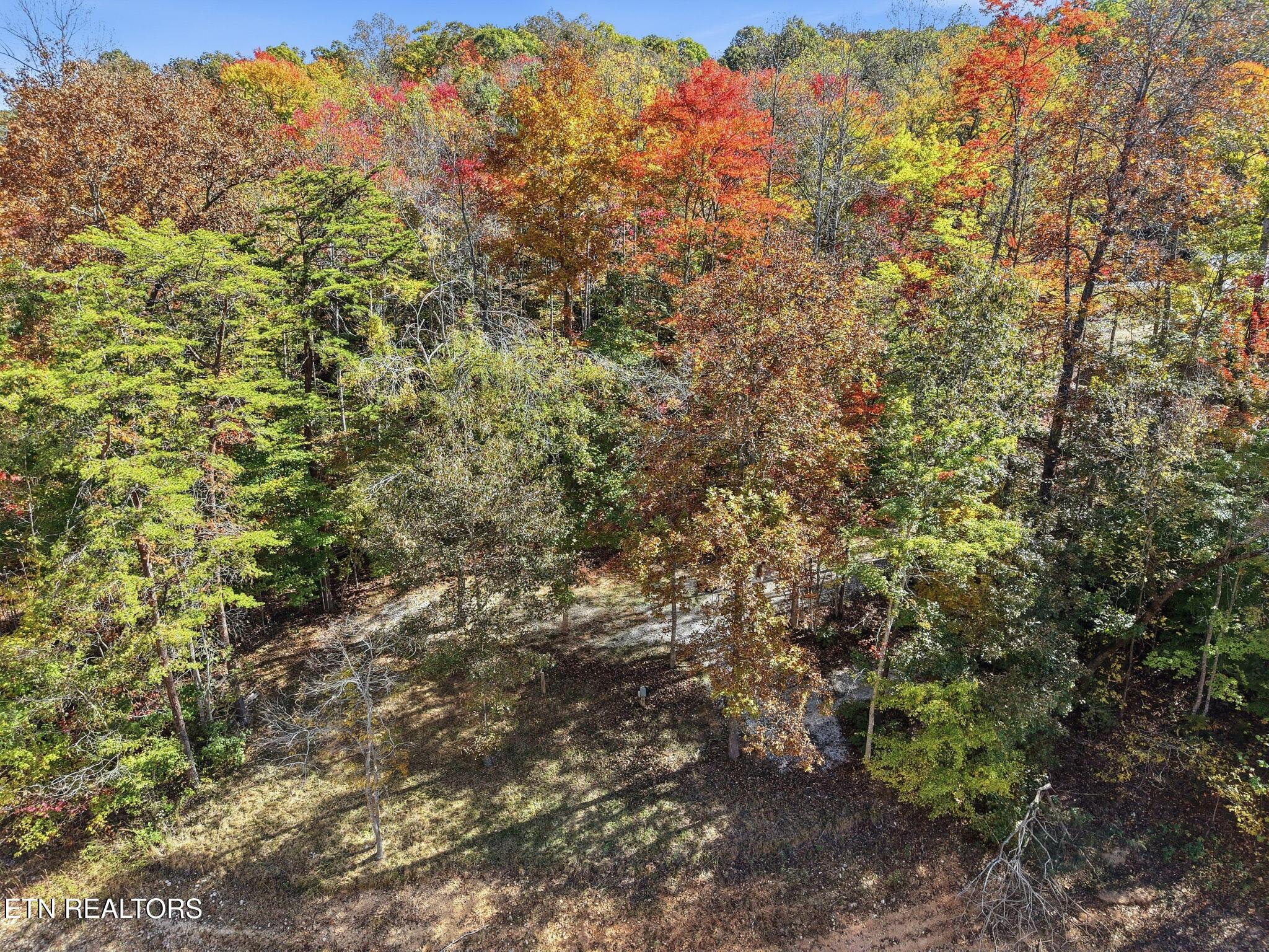 Norris Lake Real Estate - Image# 10