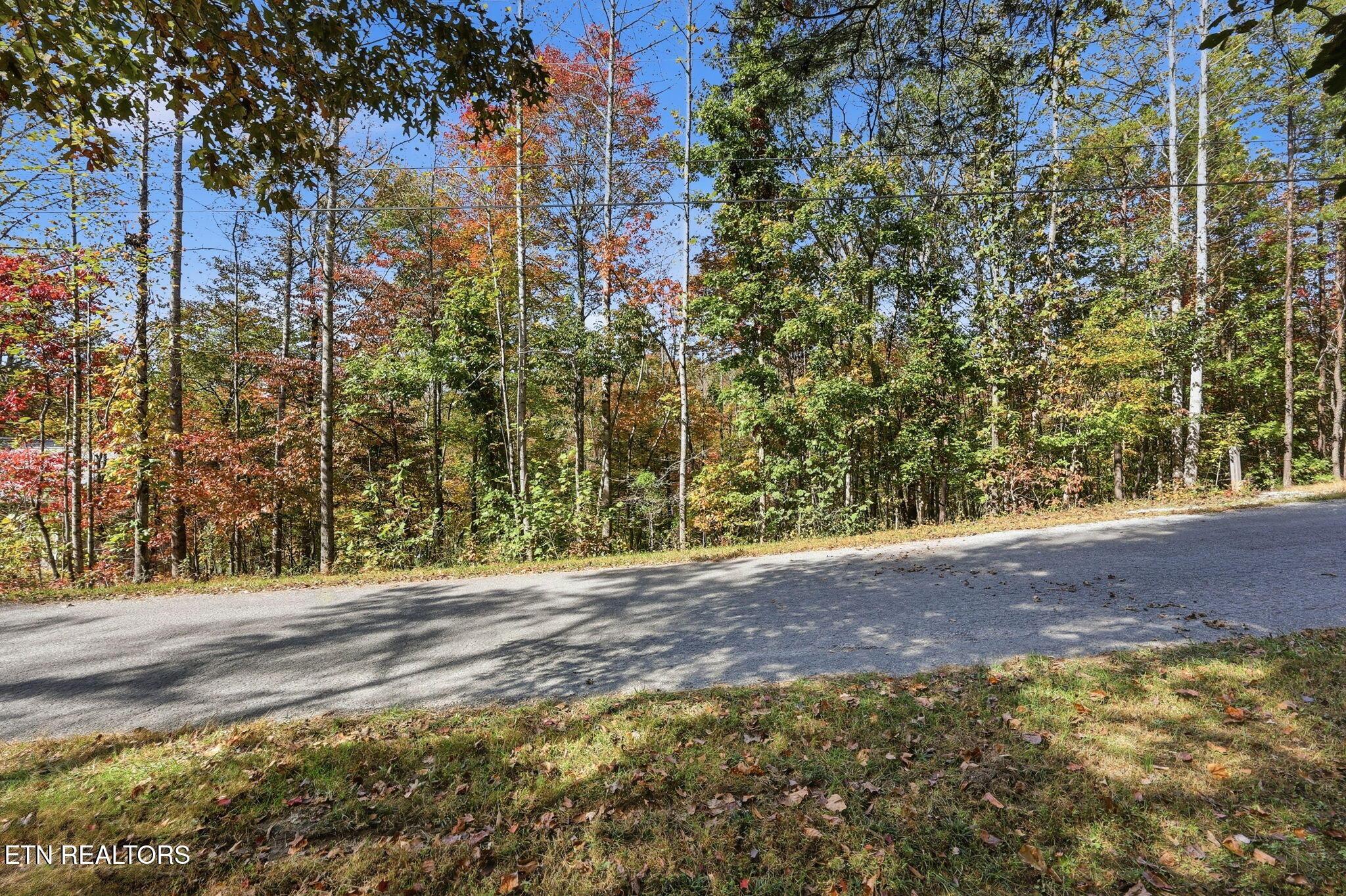 Norris Lake Real Estate - Image# 11
