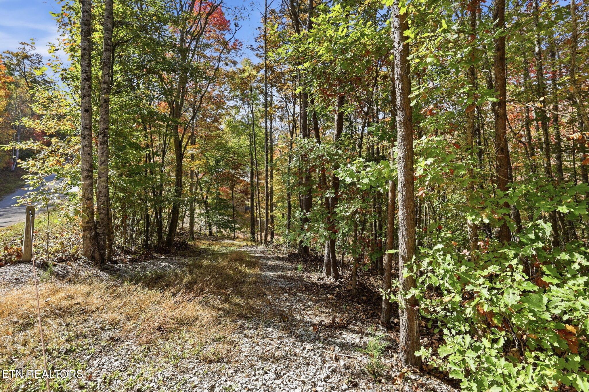 Norris Lake Real Estate - Image# 12