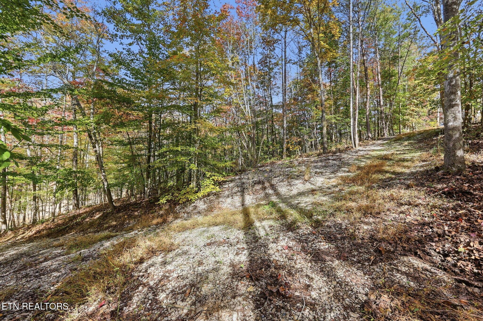 Norris Lake Real Estate - Image# 13