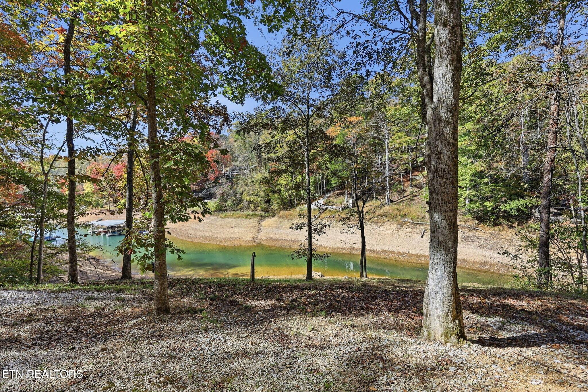 Norris Lake Real Estate - Image# 1