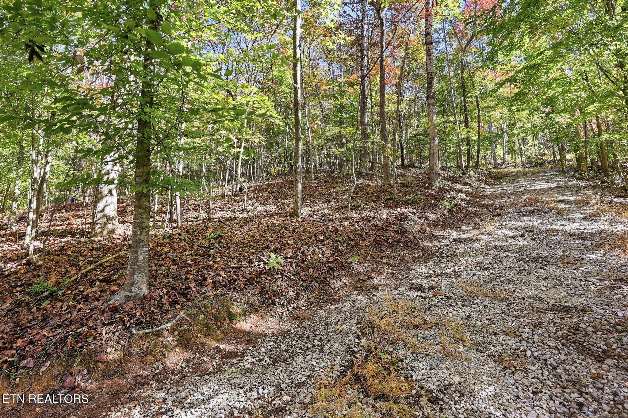 Norris Lake Real Estate - Image# 15