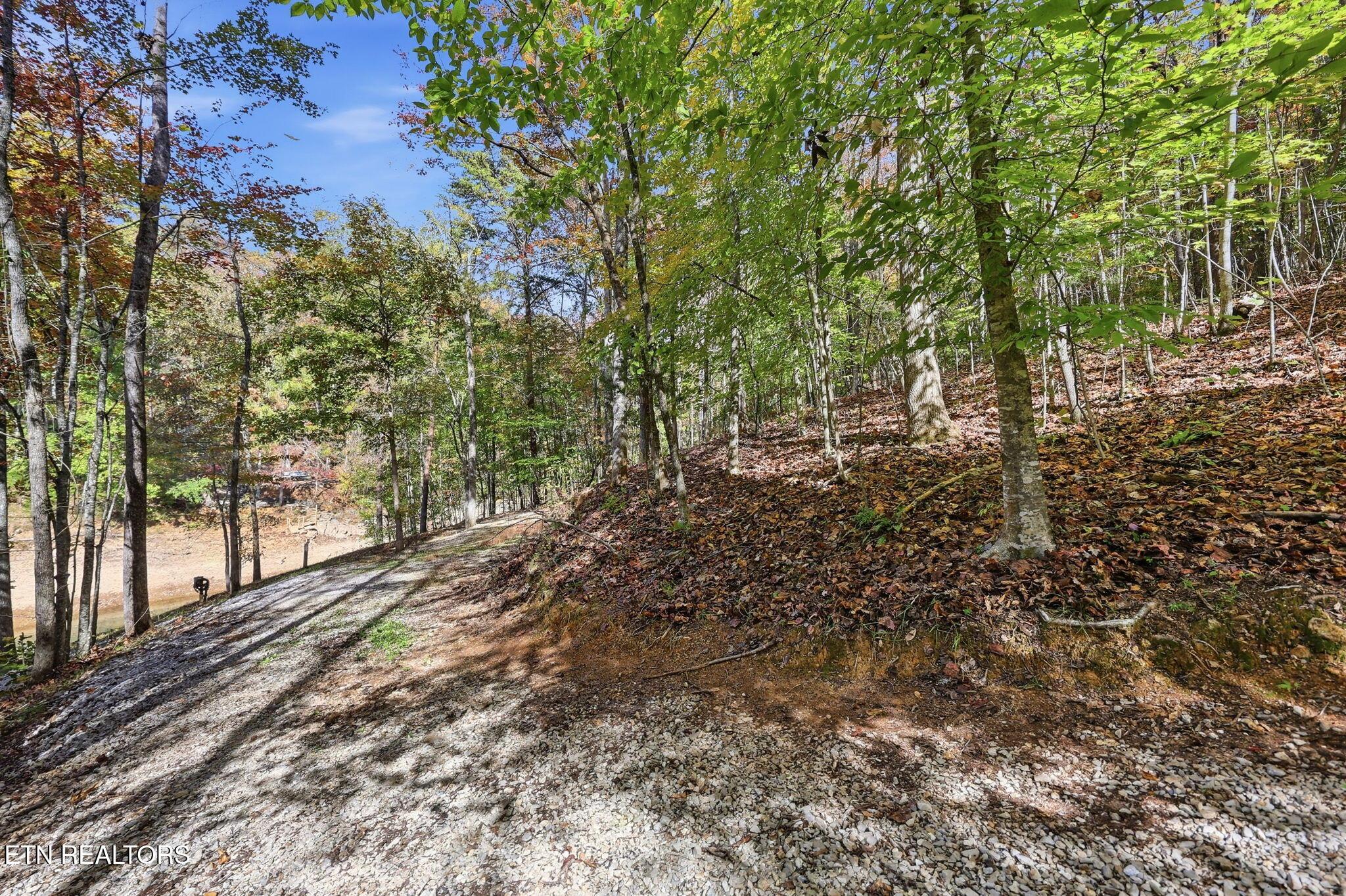 Norris Lake Real Estate - Image# 16
