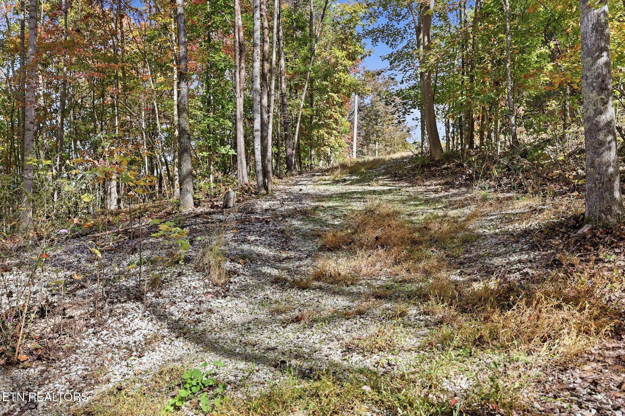 Norris Lake Real Estate - Image# 17
