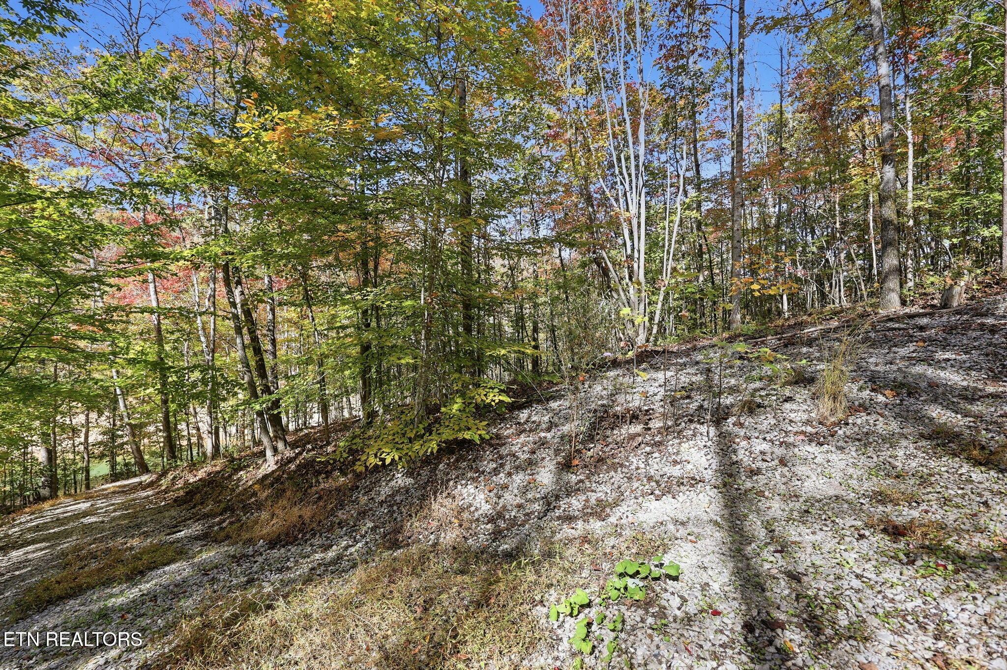 Norris Lake Real Estate - Image# 18