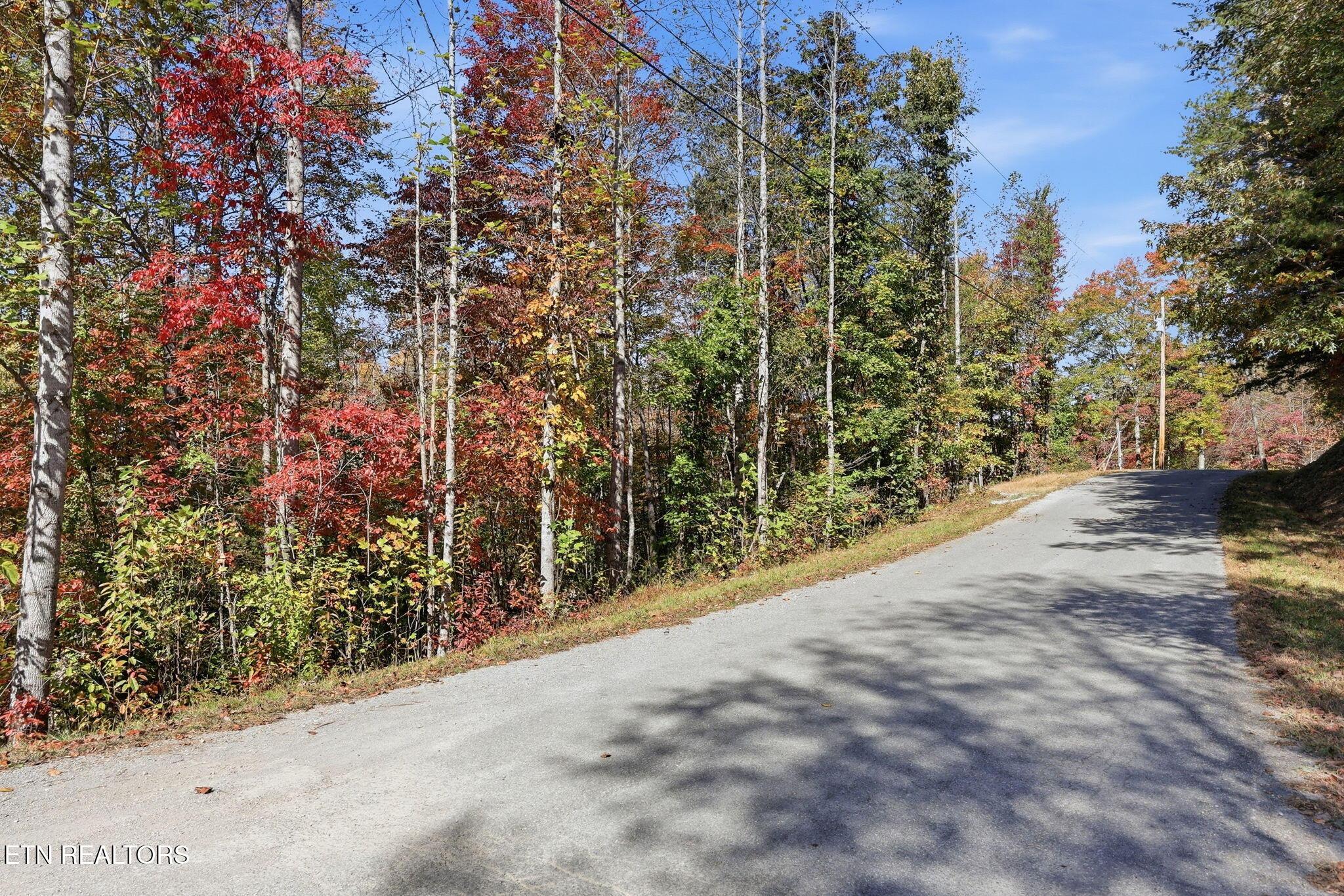 Norris Lake Real Estate - Image# 19