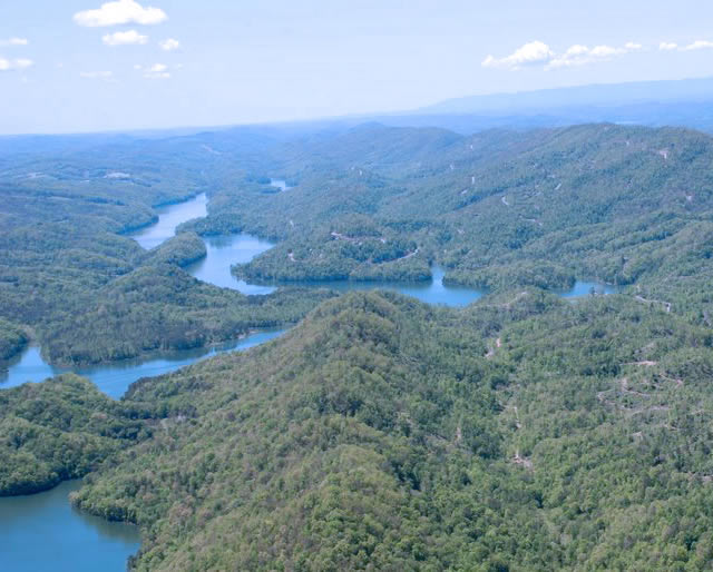 Blue Springs Hollow Homes for Sale Norris lake