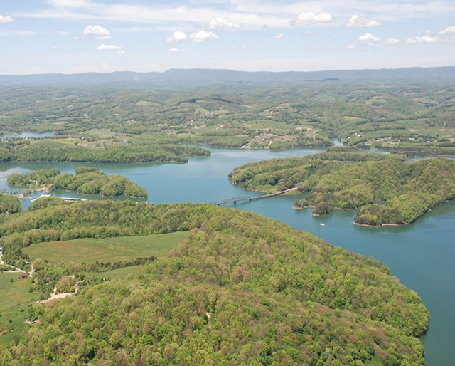 Cool Branch Homes for Sale Norris lake