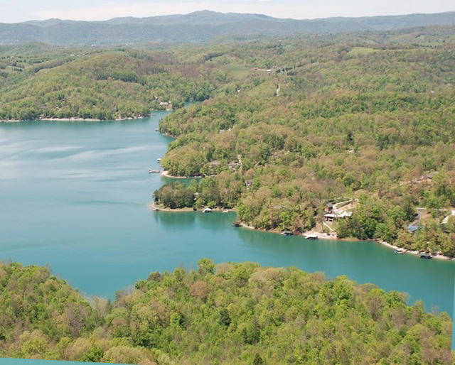 Cove Pointe Homes for Sale Norris lake