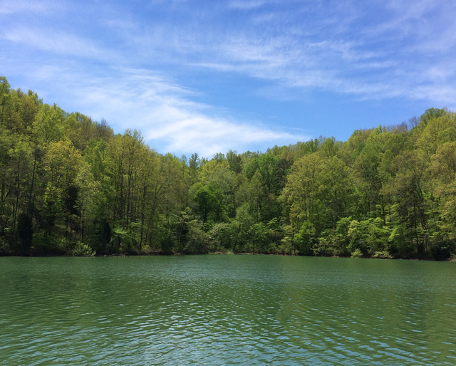 Hickory Star Lots for Sale Norris Lake