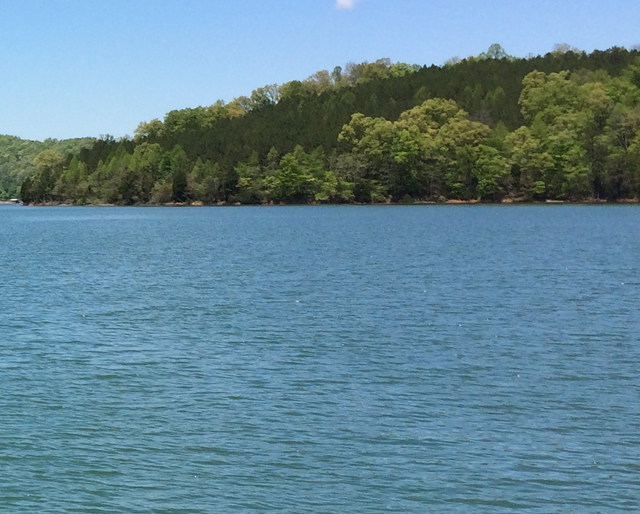 Indian River Homes for Sale Norris lake