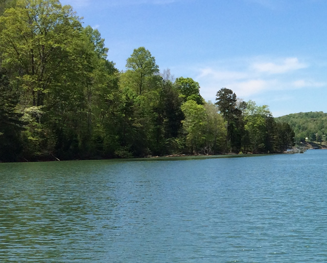 Race Track Hollow Homes for Sale Norris lake