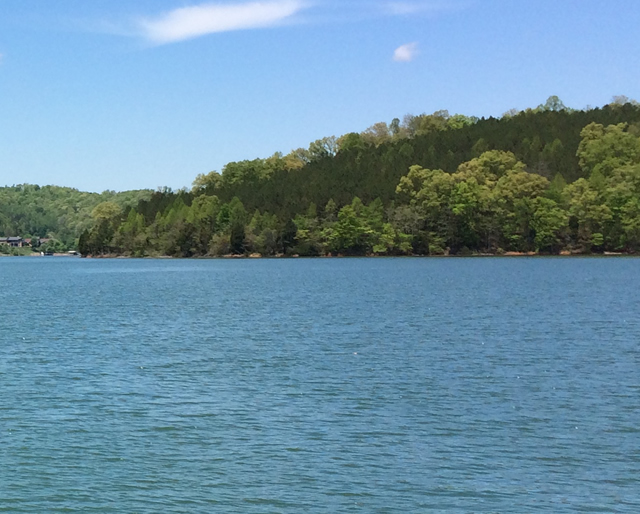 Rock Harbor Lots for Sale Norris lake