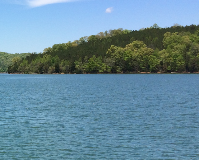 Shawnee Shores Homes for Sale Norris lake