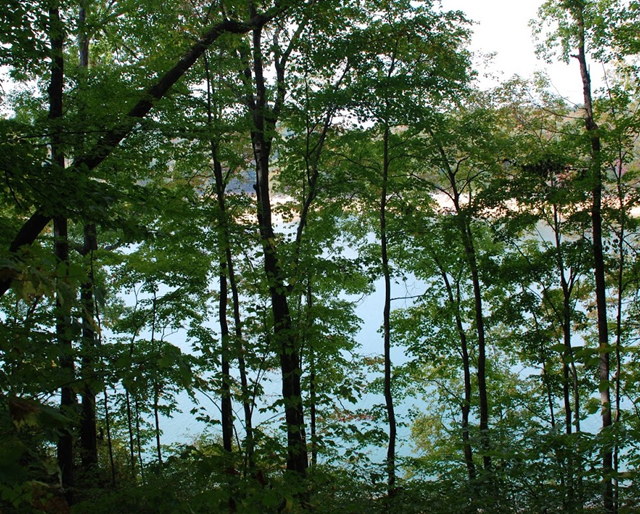 Shawnee Shores Lots for Sale Norris lake