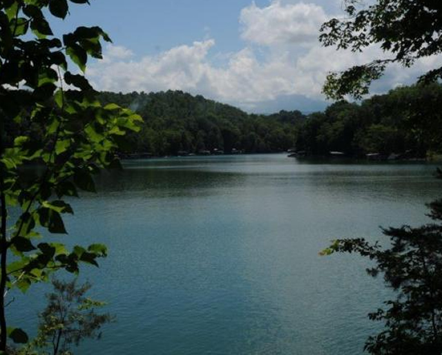 Stone Mill Lots for Sale Norris lake