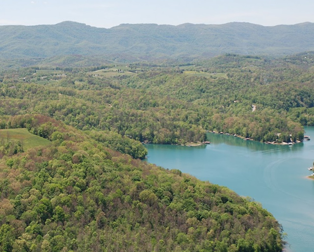 SuDennie Homes for Sale Norris lake
