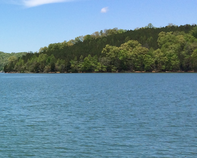 The Point Homes for Sale Norris lake